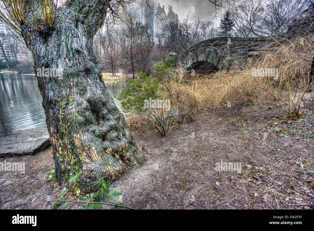 Central park new york city rain hi-res stock photography and images - Alamy