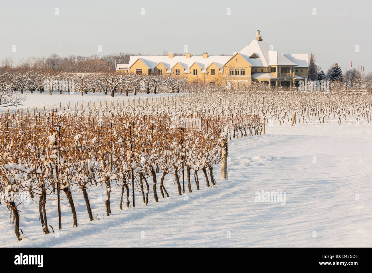 Canada,Ontario,Niagara-on-the-Lake Ontario, Peller Estate Winery in winter Stock Photo