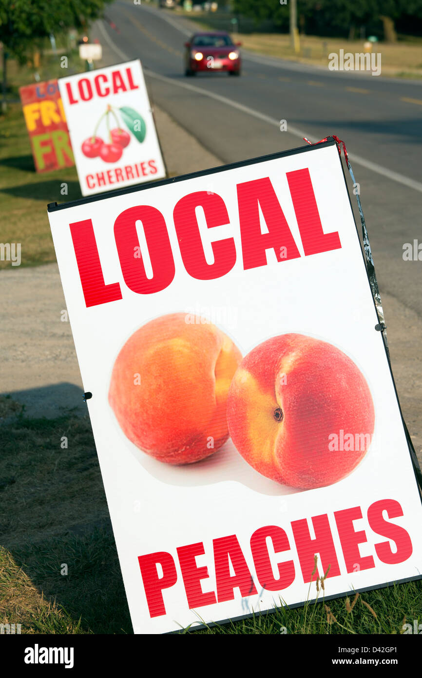 Canada,Ontario,Niagara-on-the-Lake,fresh fruit sign at roadside Stock Photo