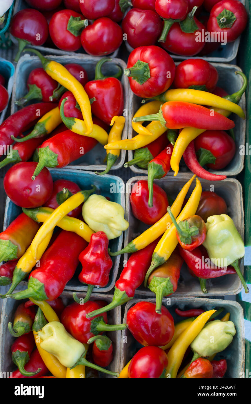 display of peppers at a farmers market Stock Photo