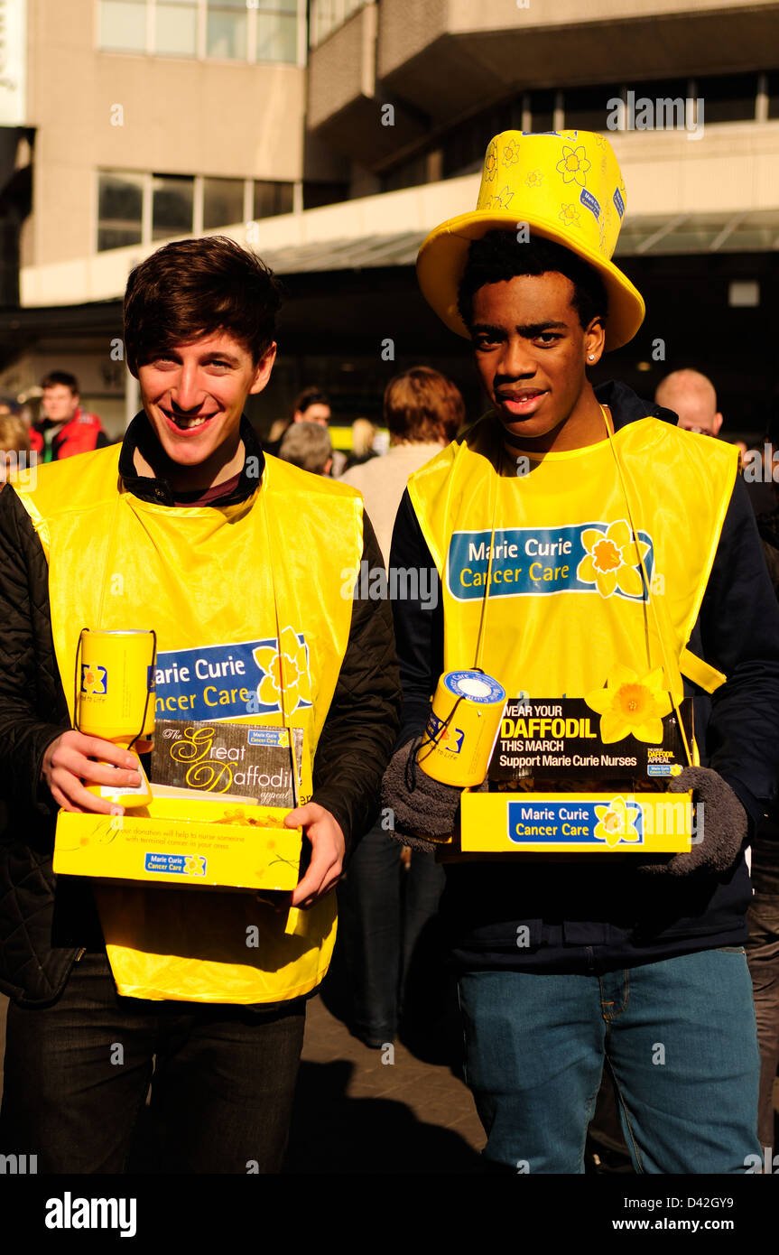 Marie Curie,Cancer Care Charity .The Great Daffodil Appeal Stock Photo