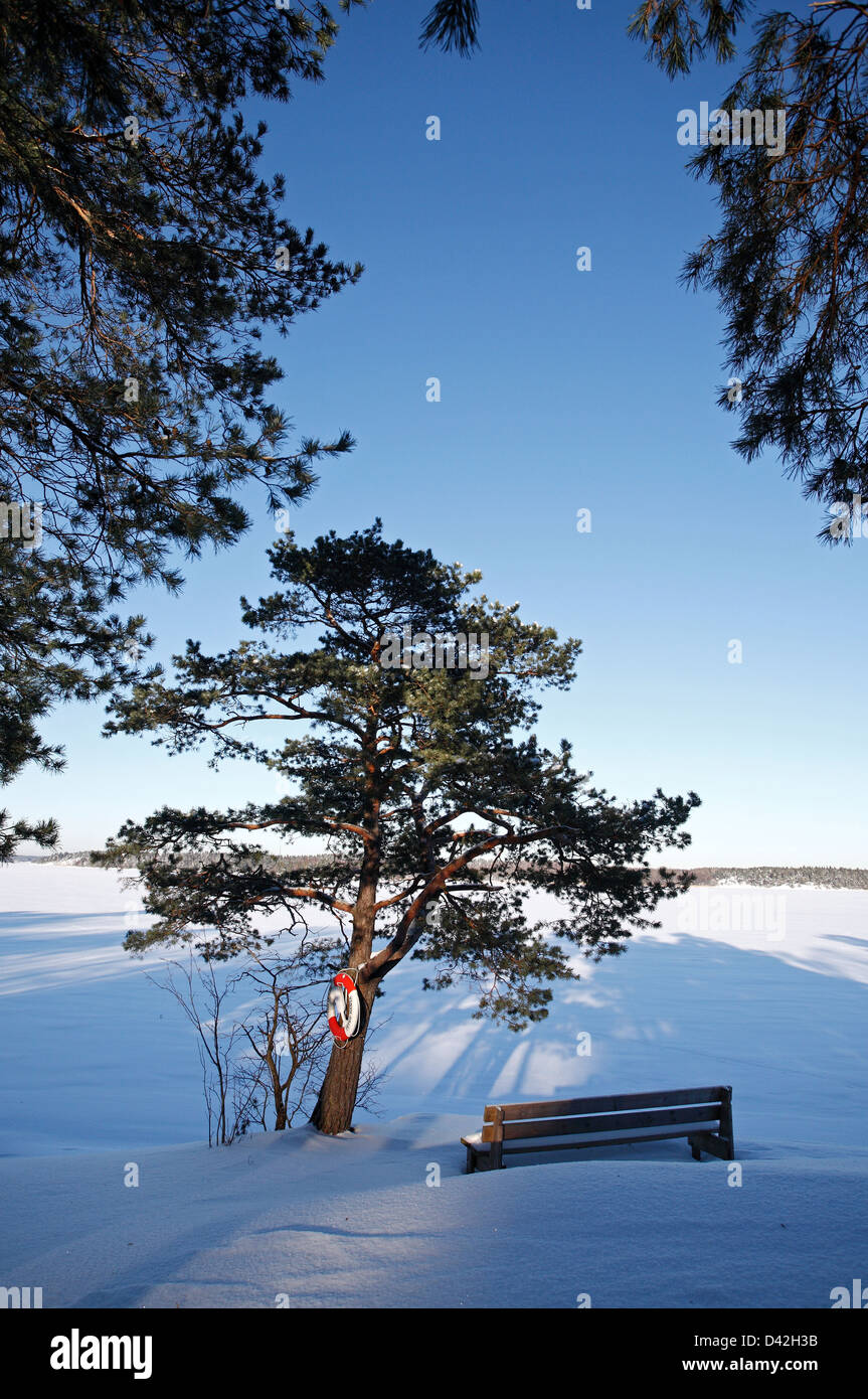 Dill, Sweden, a park bench by a lake near the settlement Trolldalen Stock Photo