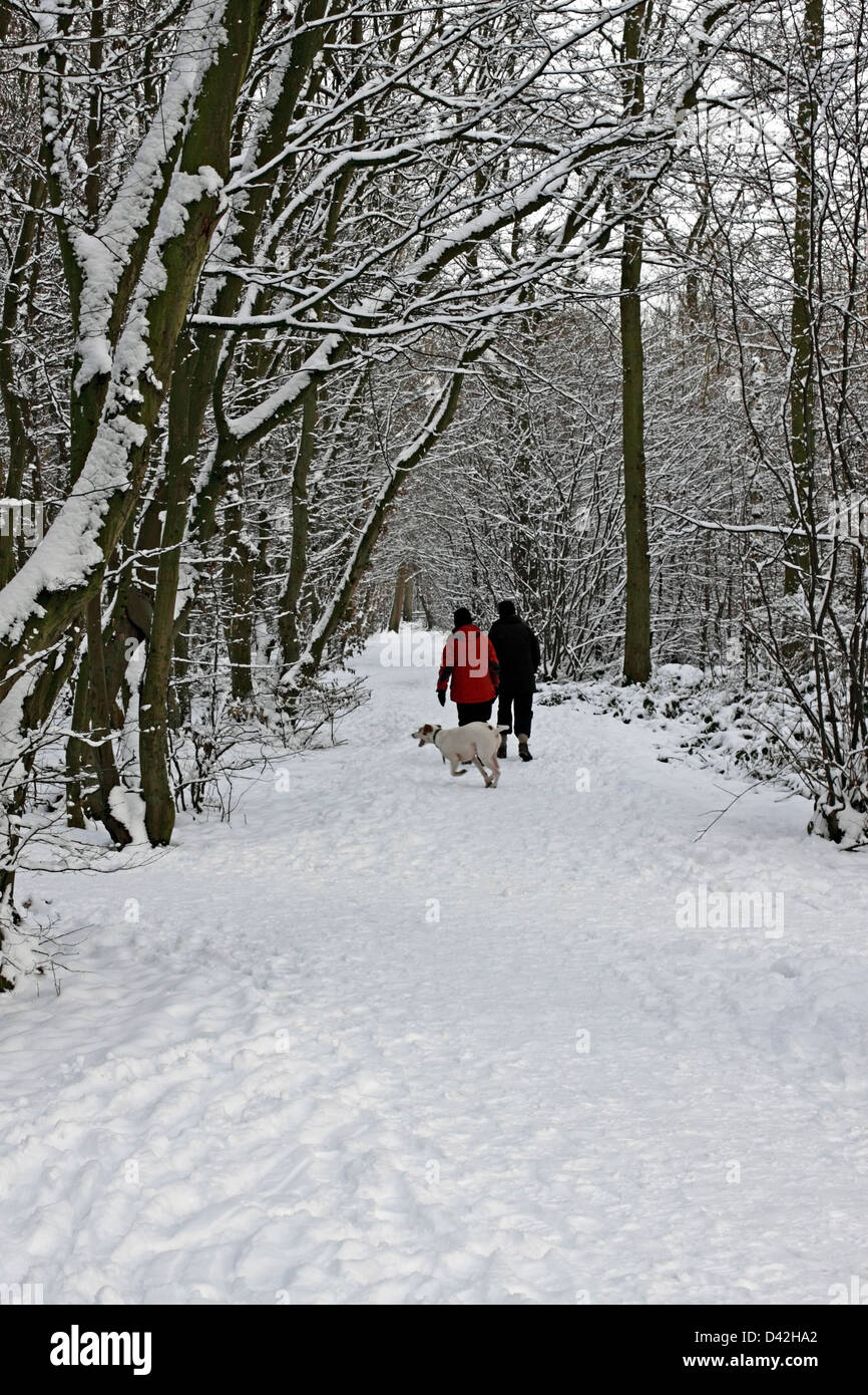 WALKERS ON A SNOW COVERED WOODLAND PATH IN WINTER. Stock Photo