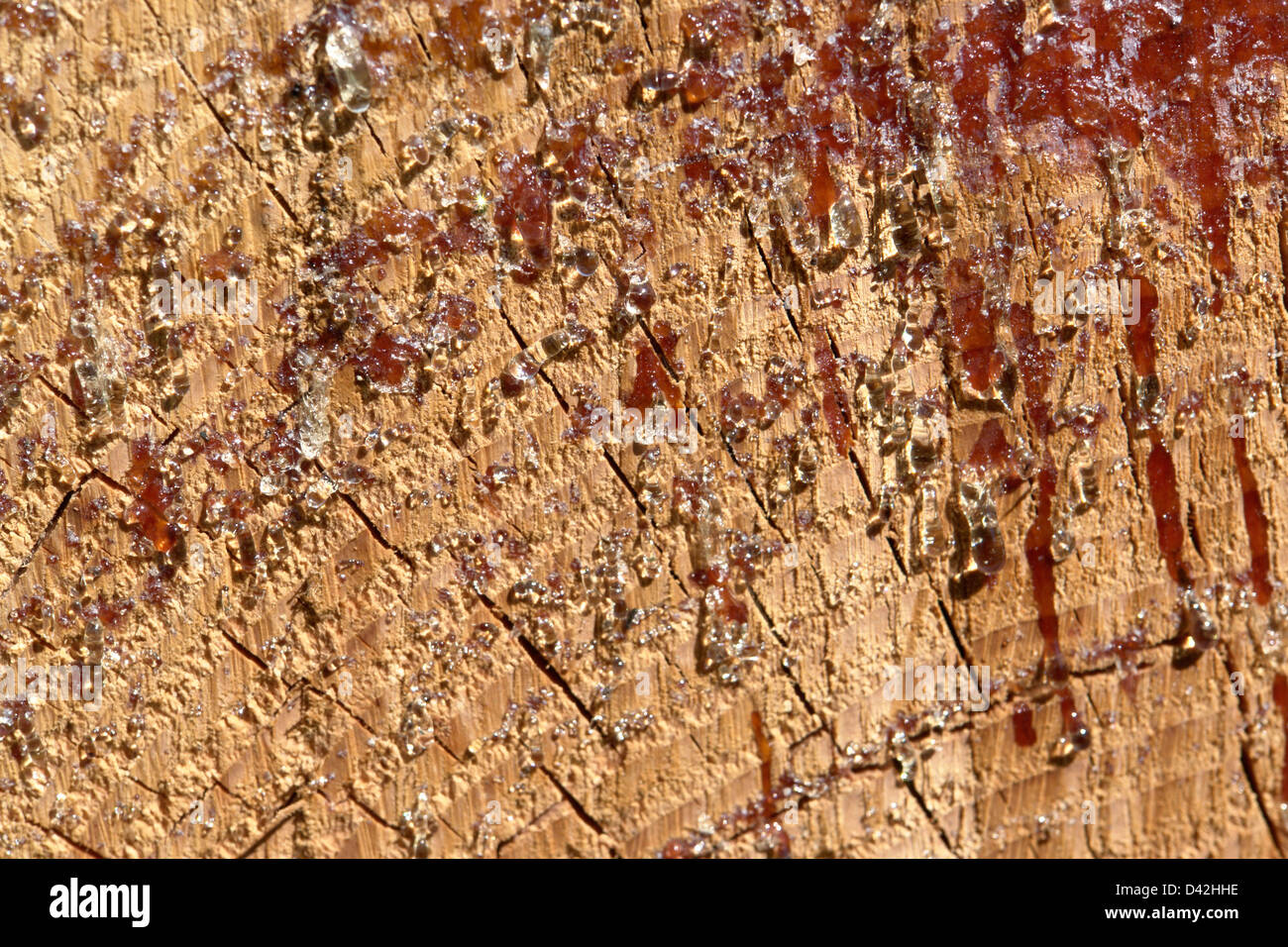 abstract background with resin drops on wooden surface Stock Photo