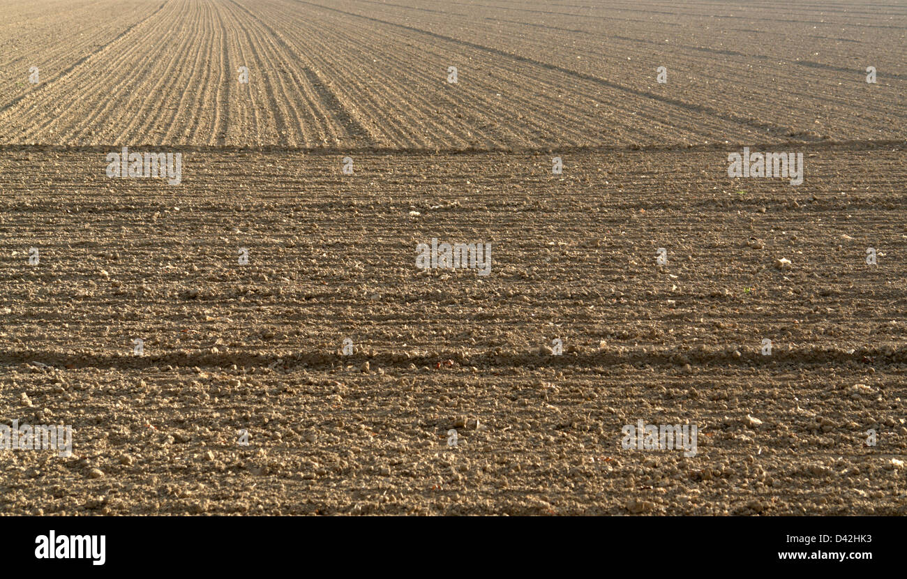 abstract agricultural background showing a plowed field surface Stock Photo