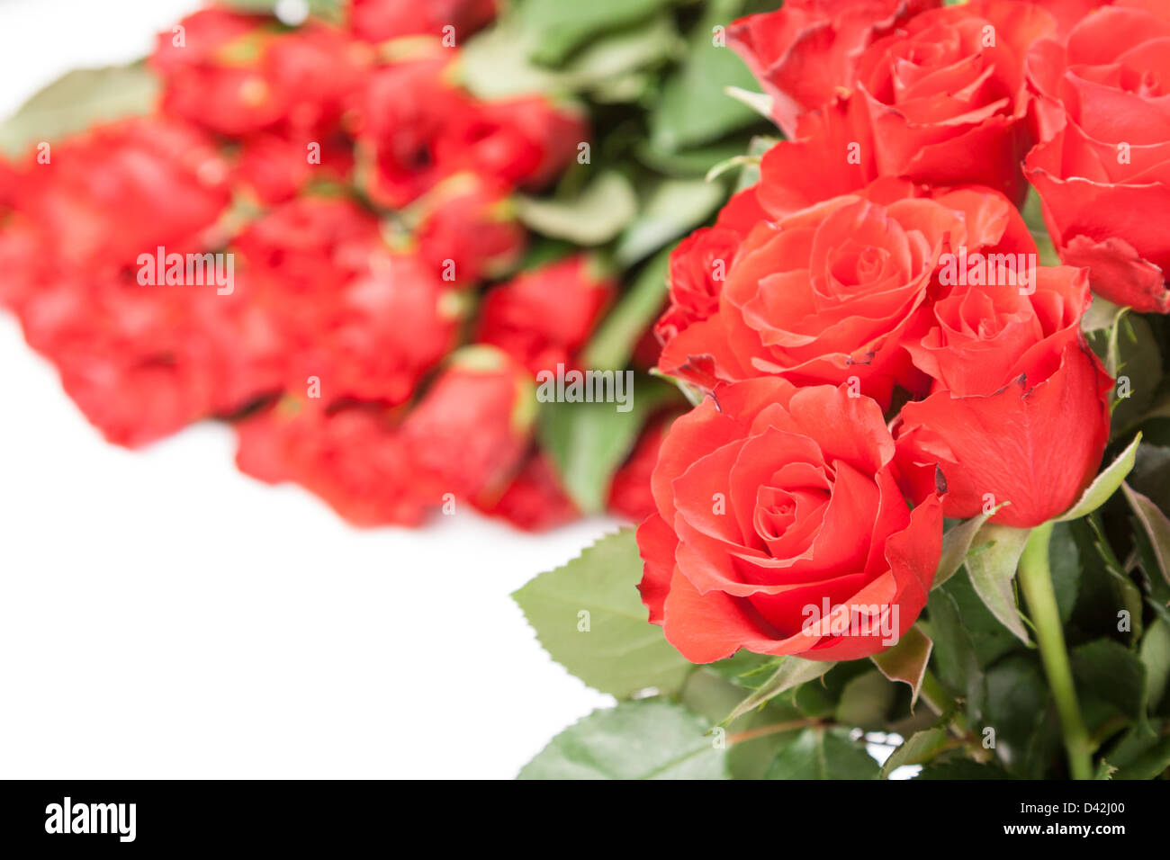 bouquet of red roses for romantic gift ore background Stock Photo - Alamy