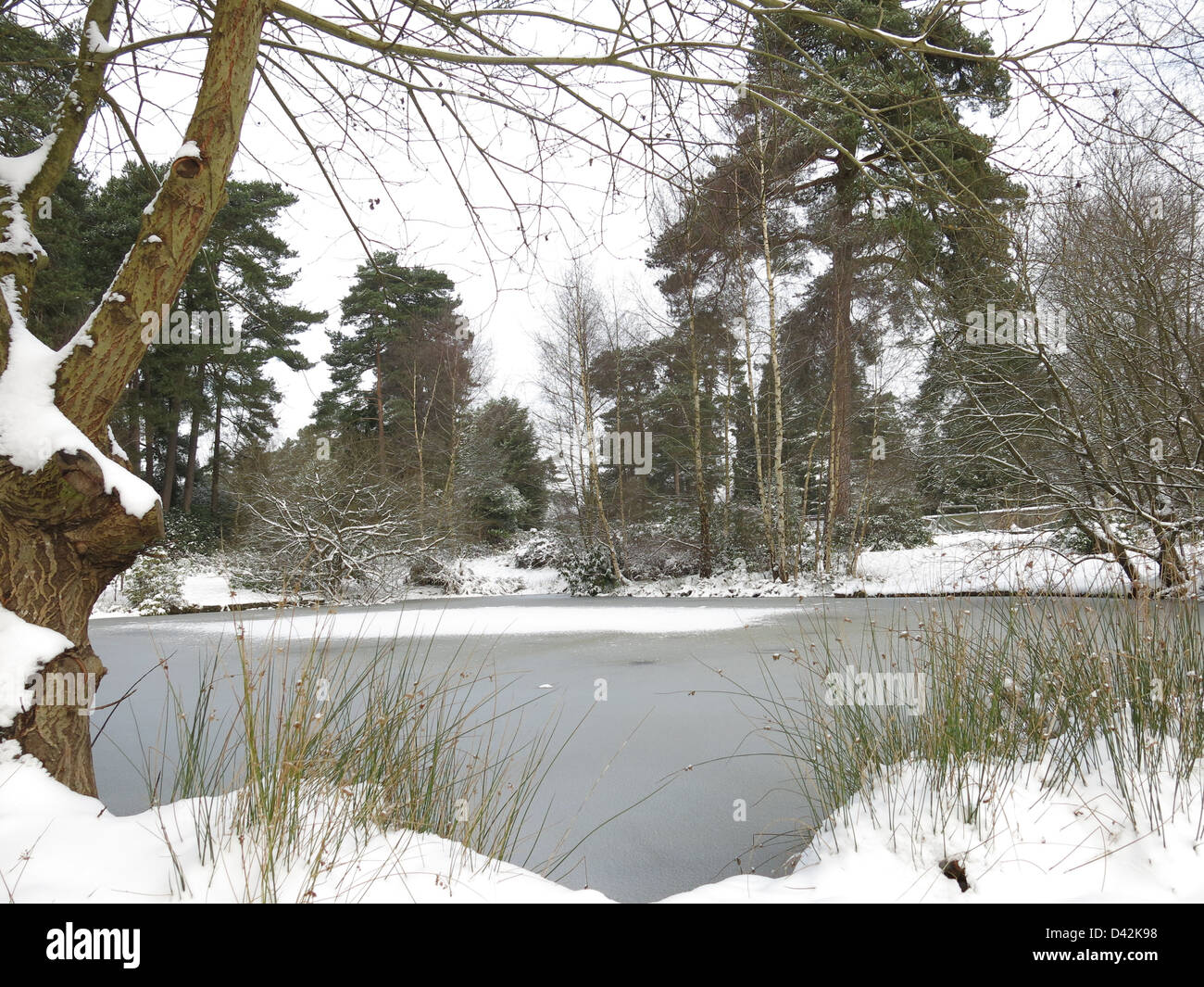 Frozen Lake, Jan 2013 Stock Photo
