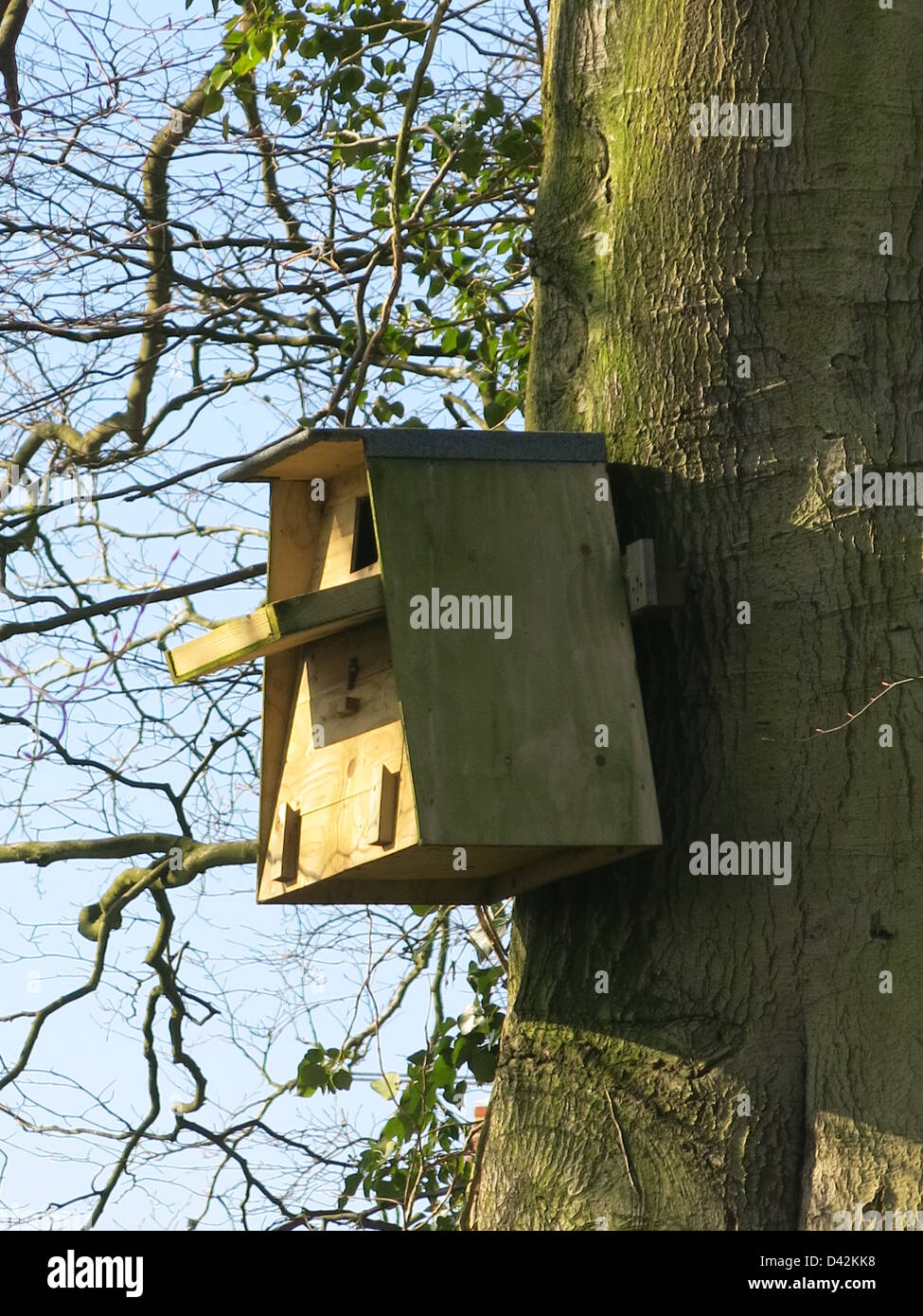 Owl Nesting Box Stock Photo