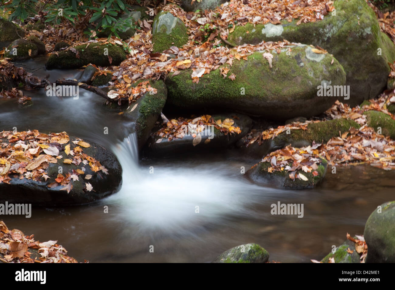 Mountain stream cascading by moss covered rocks with a fall leaf covering of the stones, a tourist restful delight Stock Photo