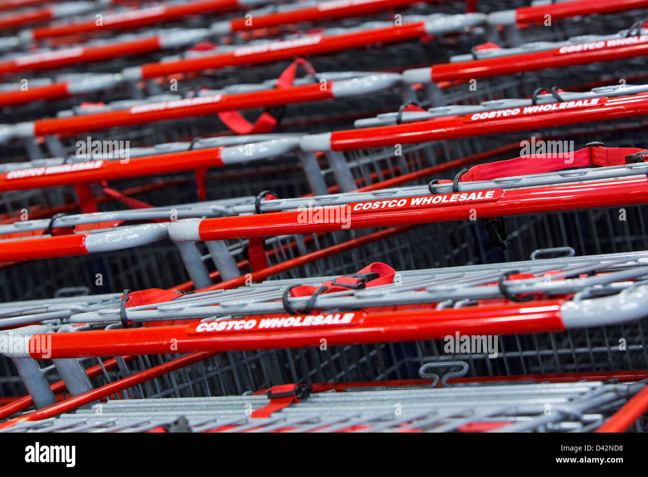 Shopping carts at a Costco Wholesale Warehouse Club. Stock Photo