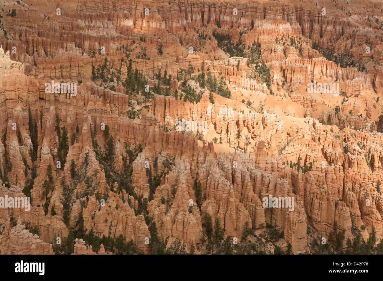 Bryce Canyon National Park, Utah, USA Stock Photo