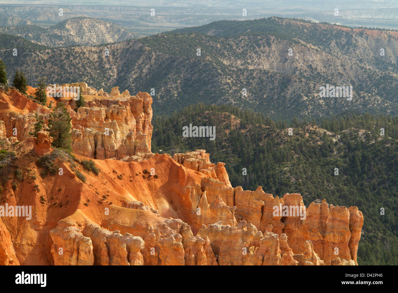 Bryce Canyon National Park, Utah, USA Stock Photo