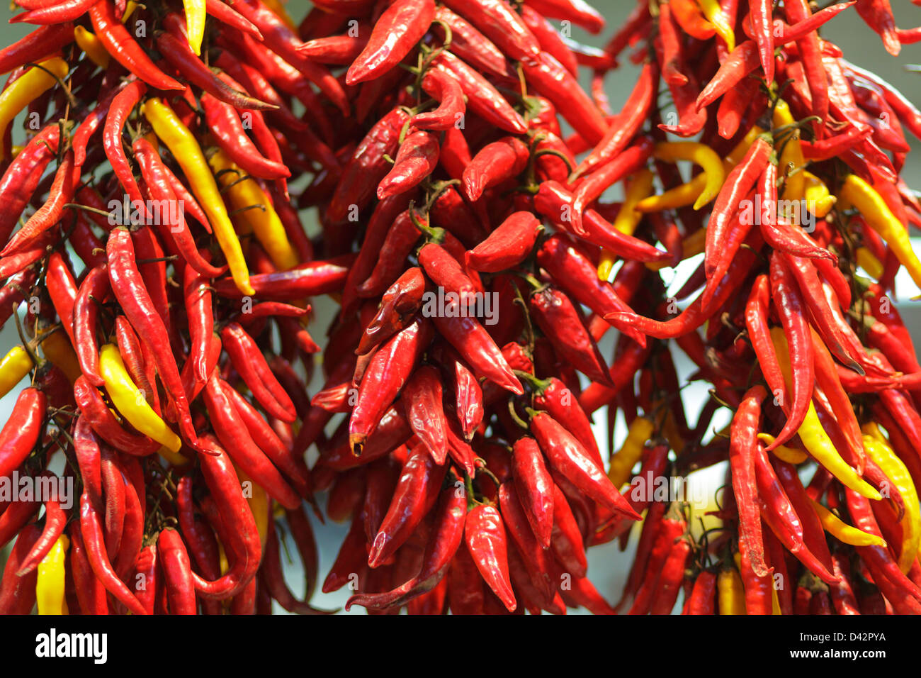 Budapest, Hungary, Hungarian peppers Stock Photo