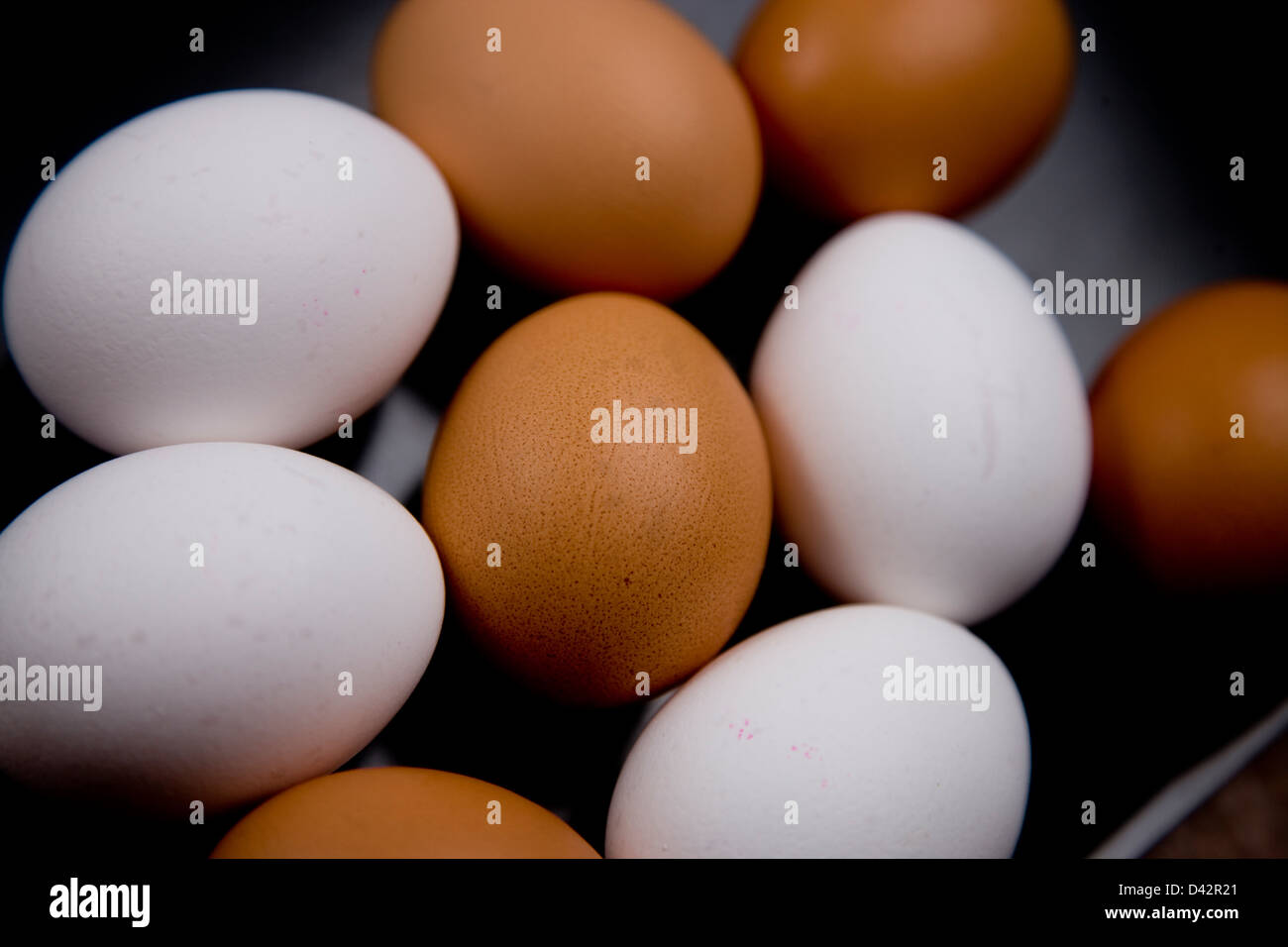 Berlin, Germany, brown and white eggs Stock Photo