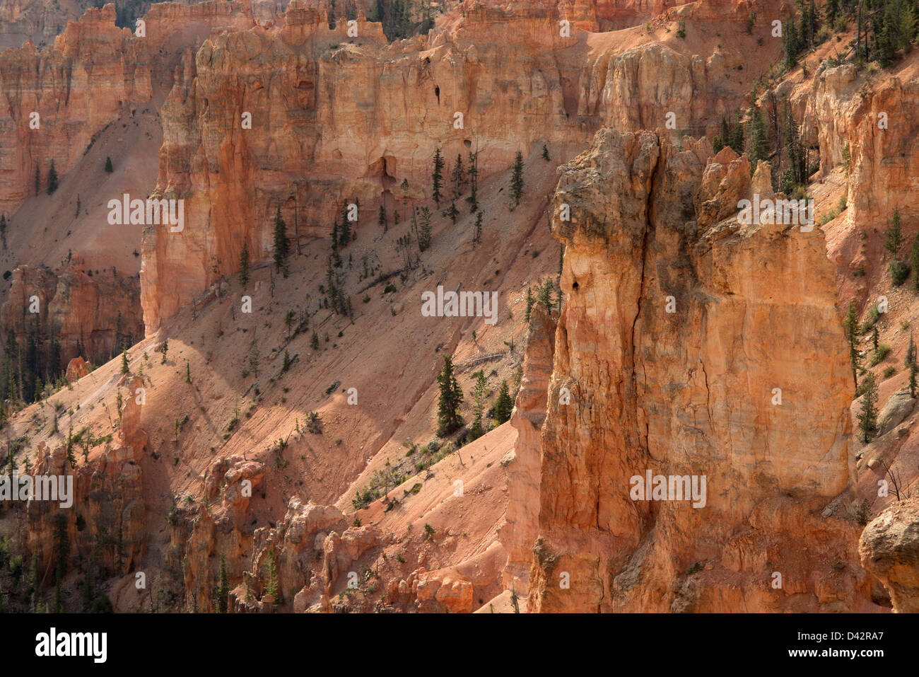 Bryce Canyon National Park, Utah, USA Stock Photo