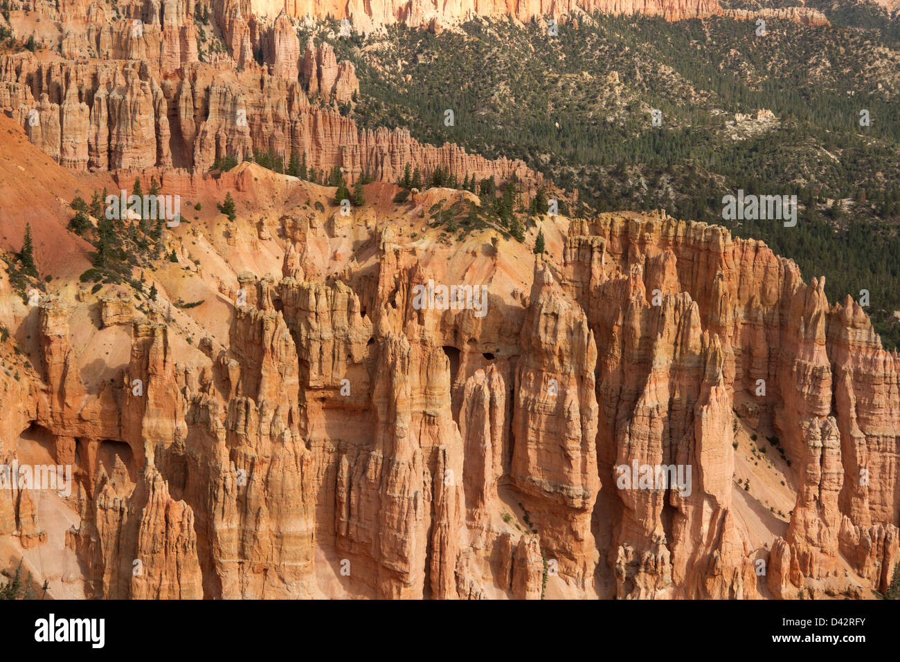 Bryce Canyon National Park, Utah, USA Stock Photo