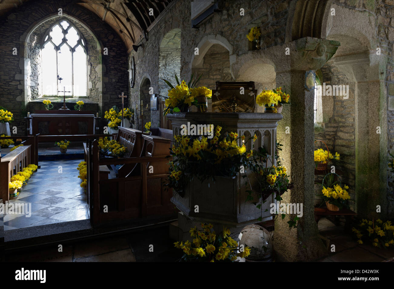 The Daffodil Festival at St MawganinMeneage Church in Cornwall Stock