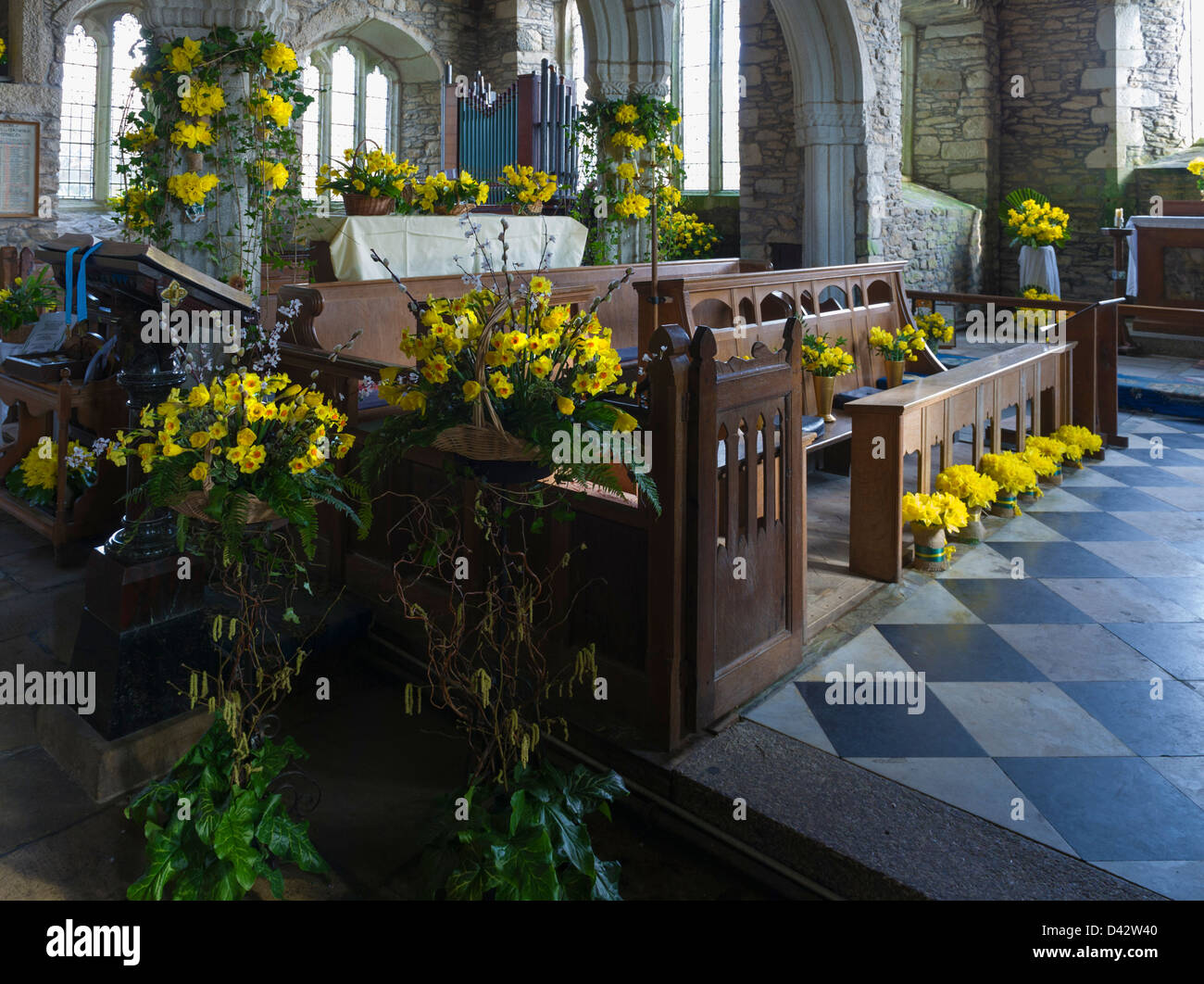 The Daffodil Festival at St MawganinMeneage Church in Cornwall Stock