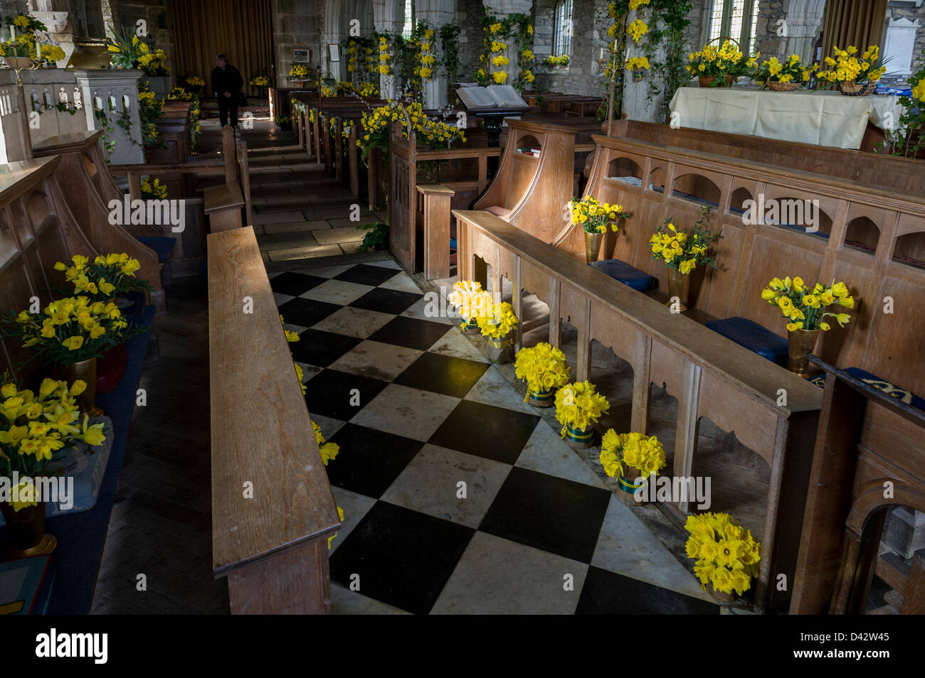 The Daffodil Festival at St MawganinMeneage Church in Cornwall Stock