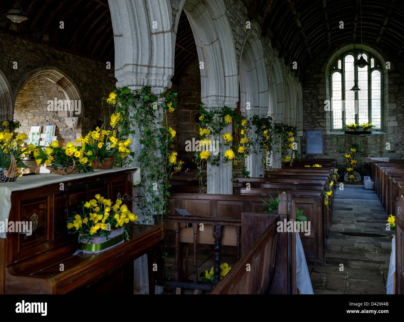 The Daffodil Festival at St Mawgan-in-Meneage Church in Cornwall. Stock Photo