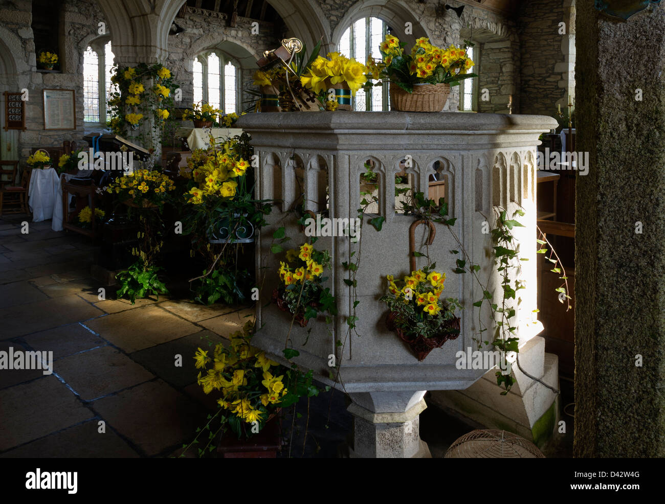 The Daffodil Festival at St MawganinMeneage Church in Cornwall Stock