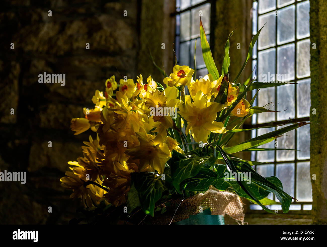 The Daffodil Festival at St MawganinMeneage Church in Cornwall Stock
