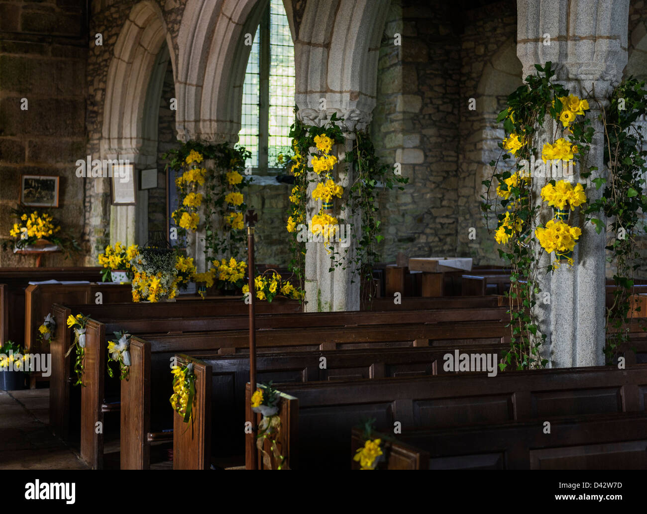 The Daffodil Festival at St MawganinMeneage Church in Cornwall Stock