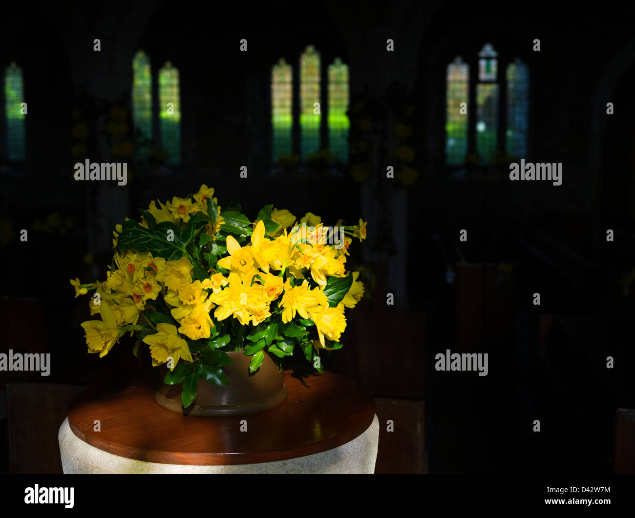 The Daffodil Festival at St MawganinMeneage Church in Cornwall Stock