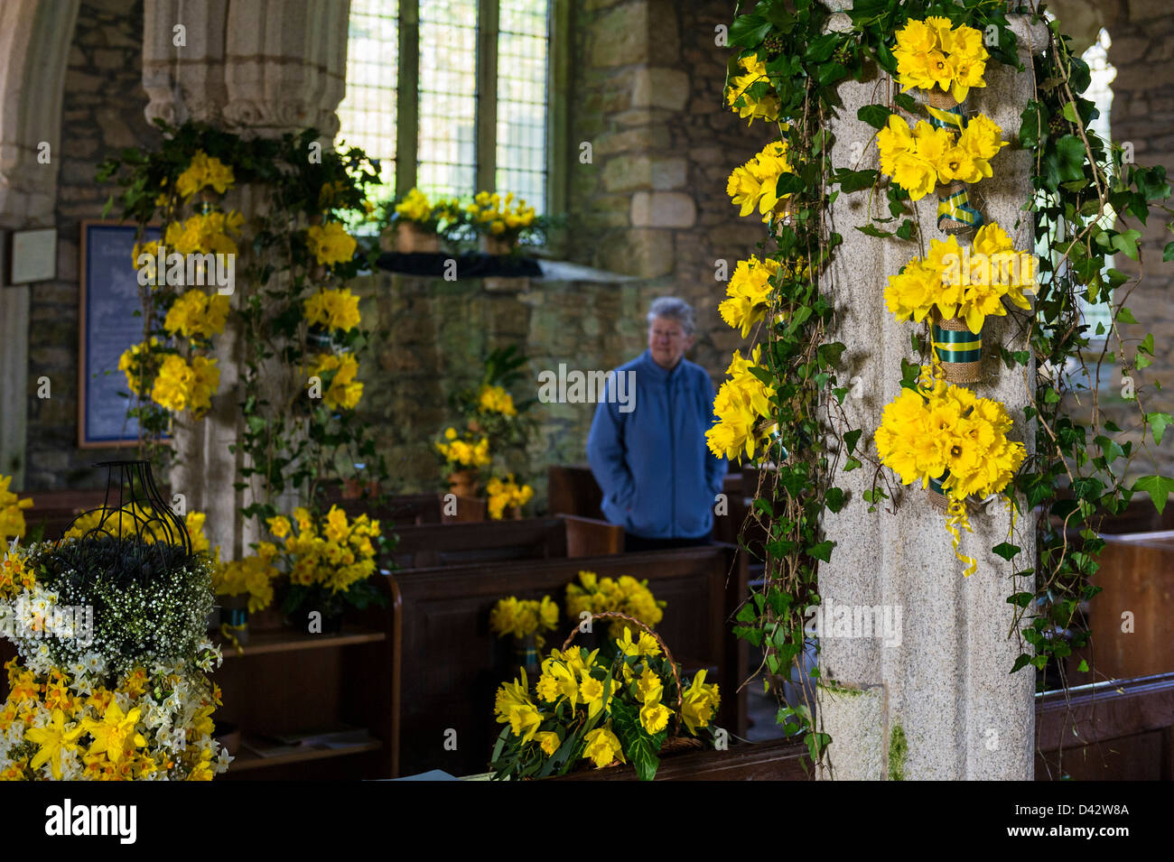 The Daffodil Festival at St MawganinMeneage Church in Cornwall Stock