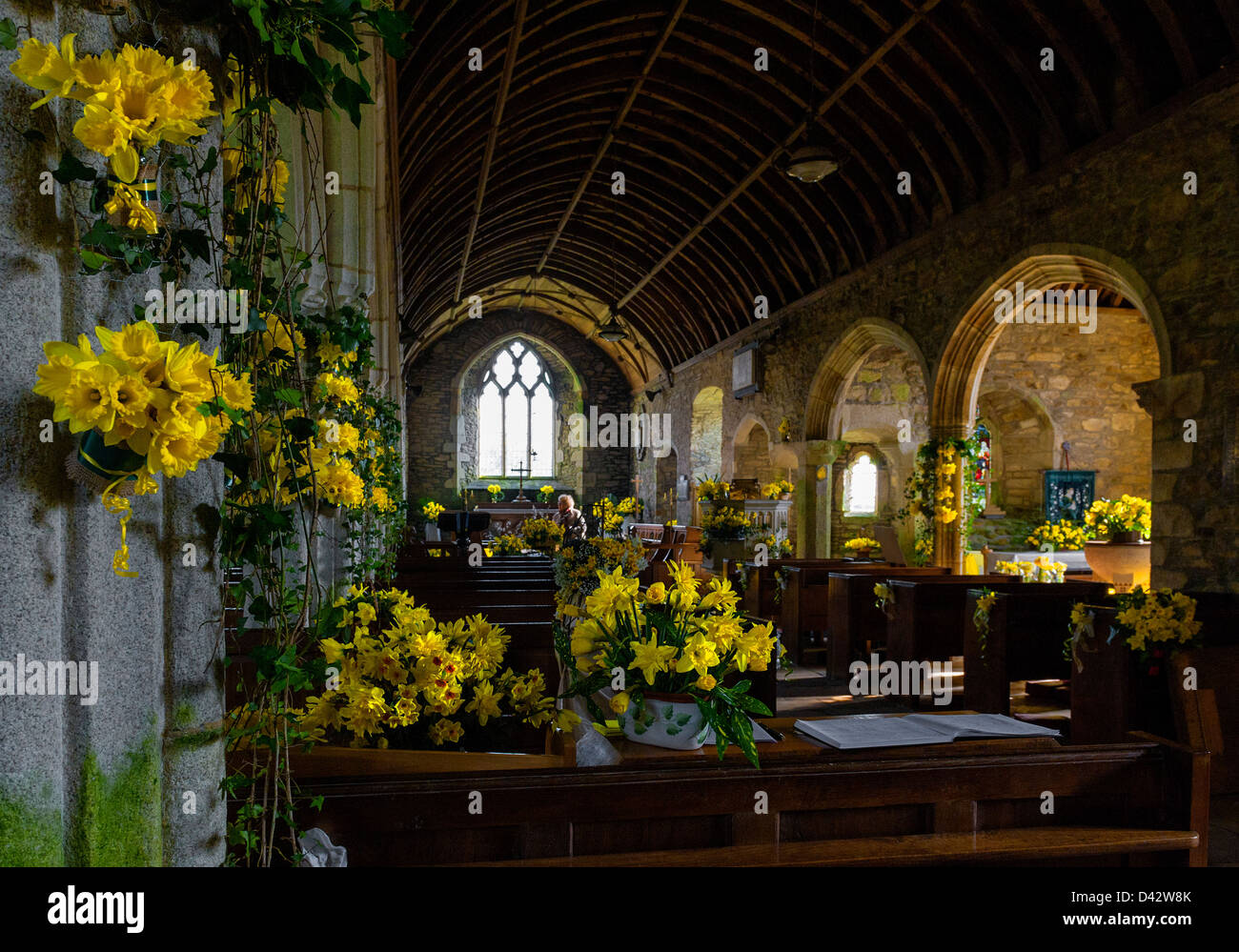 The Daffodil Festival at St MawganinMeneage Church in Cornwall Stock