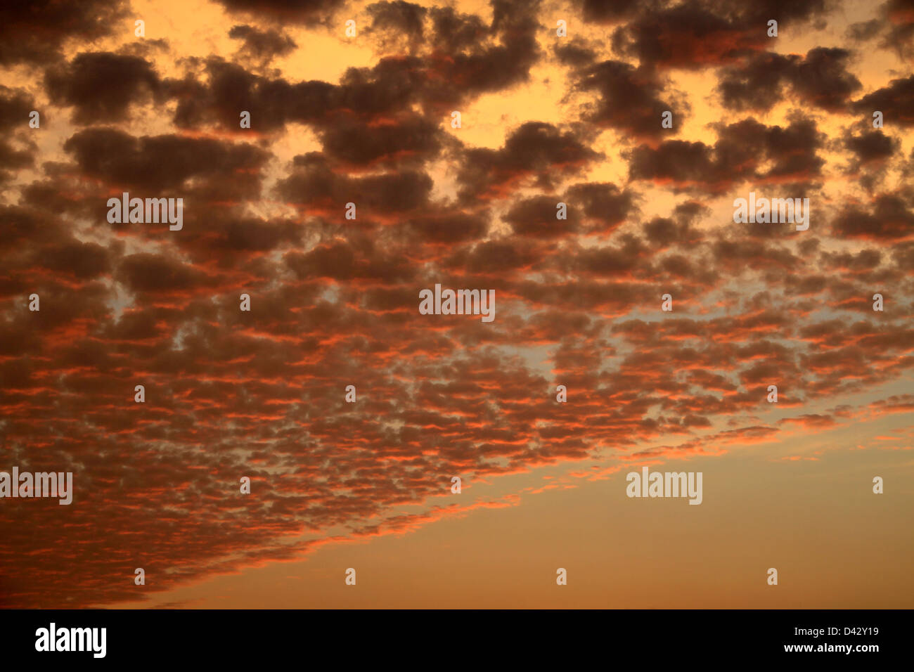 Stratus clouds reflecting the sunrise Stock Photo