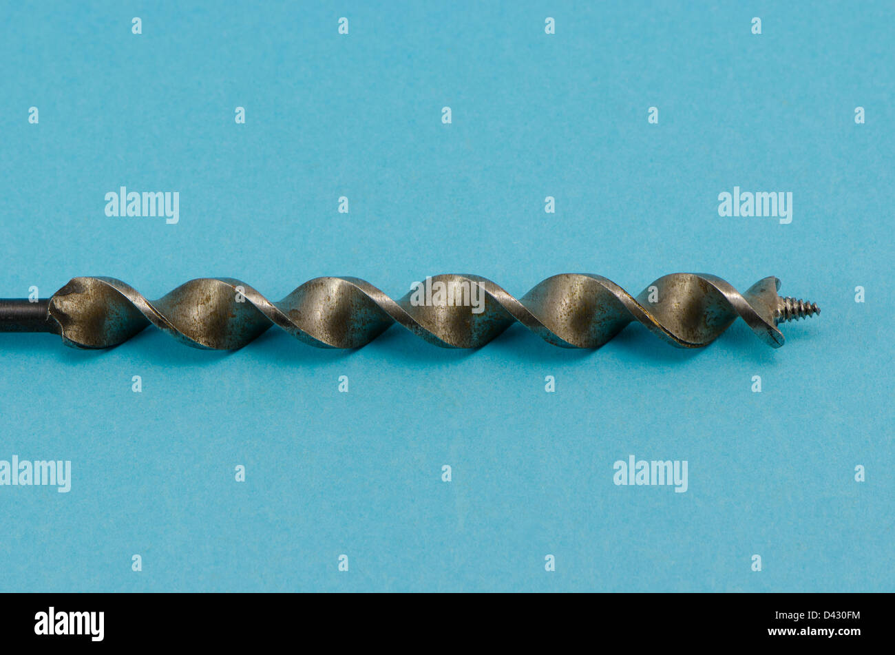 special thick wood drill bit on blue background. Stock Photo