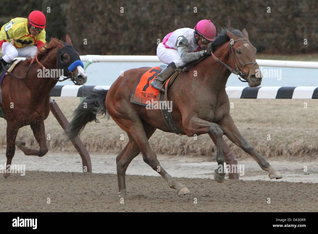 March 2, 2013 - Jamaica, New York, U.S. - Vyjack with Joel Rosaria win the Grade III Gotham for 3-year olds, going 1 1/16 mile, on the inner dirt at Aqueduct.  Trainer Rudy Rodriguez.  Owner Pix Six Racing (Credit Image: © Sue Kawczynski/Eclipse/ZUMAPRESS.com) Stock Photo