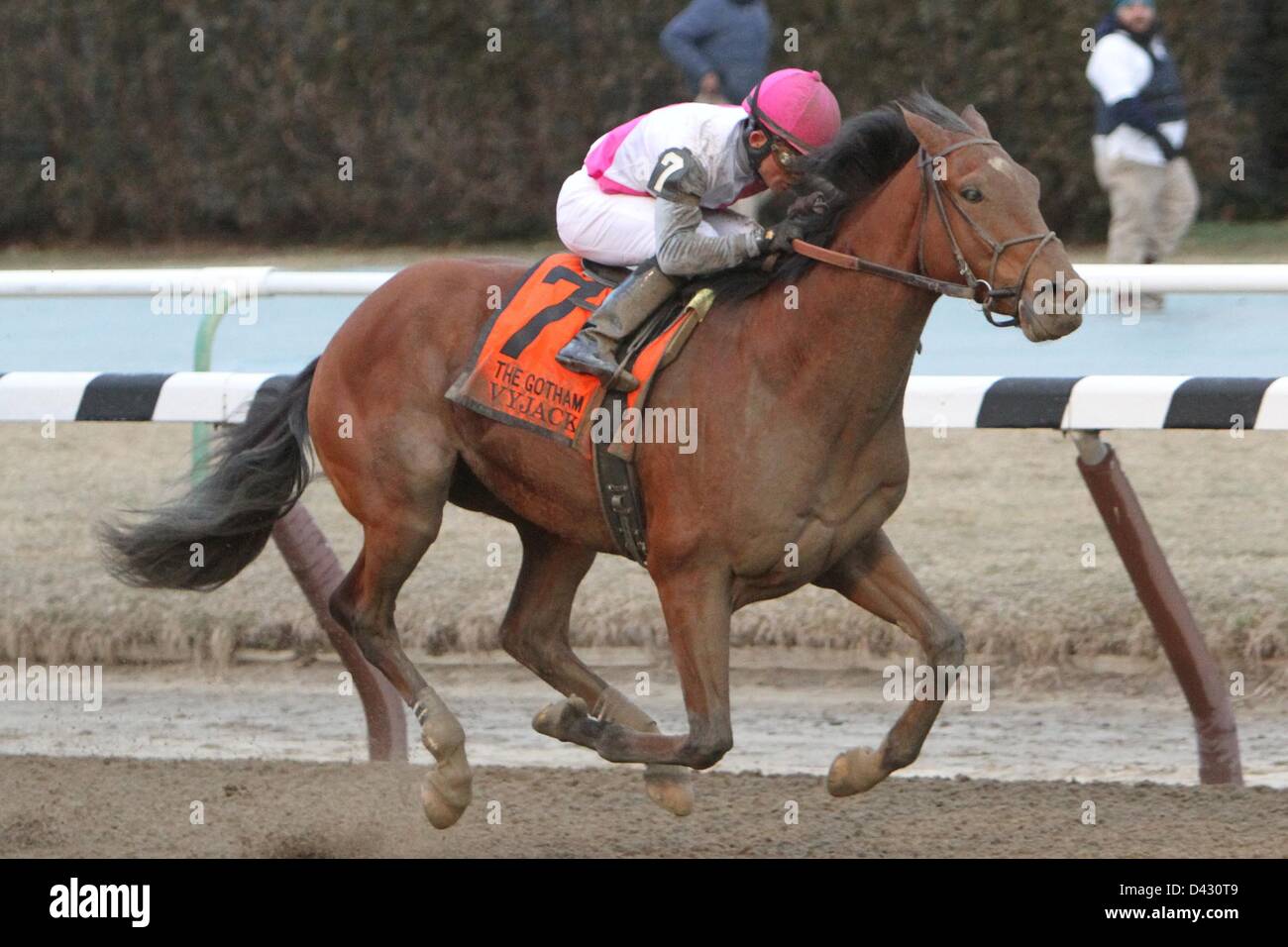 March 2, 2013 - Jamaica, New York, U.S. - Vyjack with Joel Rosaria win the Grade III Gotham for 3-year olds, going 1 1/16 mile, on the inner dirt at Aqueduct.  Trainer Rudy Rodriguez.  Owner Pix Six Racing (Credit Image: © Sue Kawczynski/Eclipse/ZUMAPRESS.com) Stock Photo
