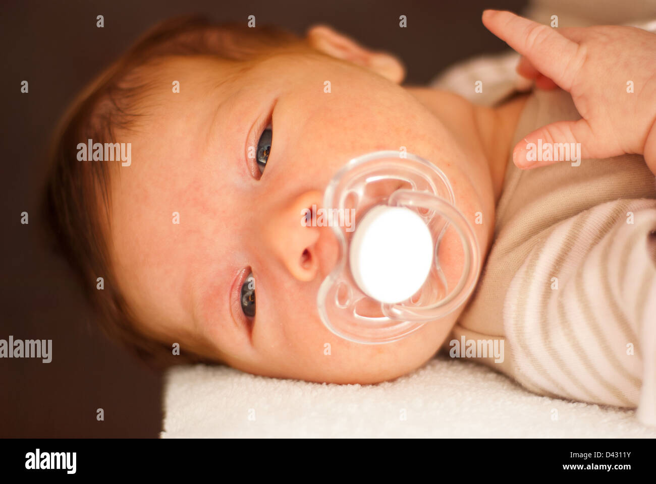 Newborn baby three weeks age with pacifier looking you Stock Photo Alamy