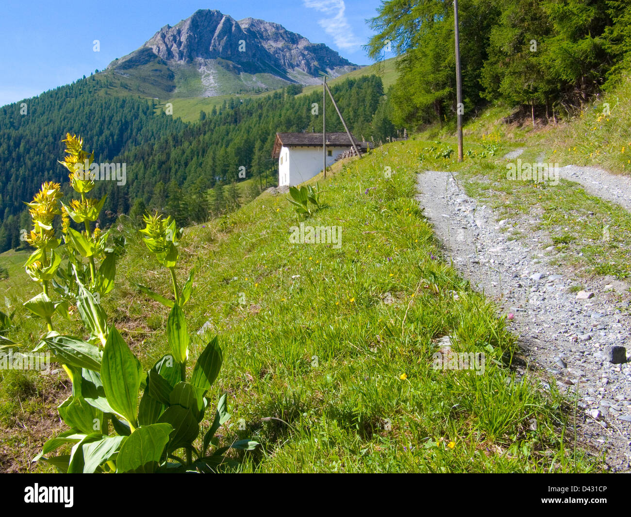 le chapelet,liddes,valais,suisse Stock Photo