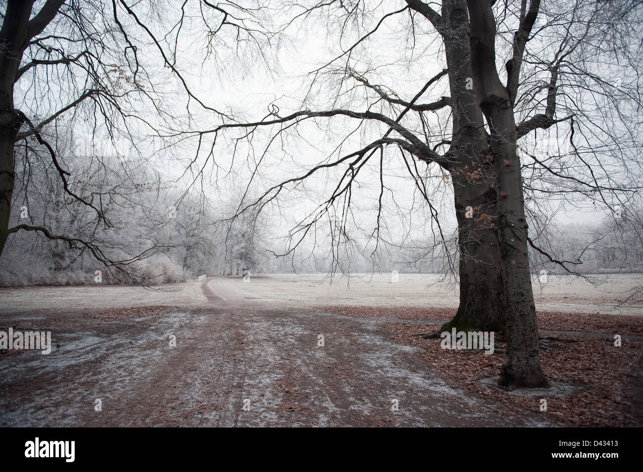 Berlin, Germany, winter landscape in Tretower Park Stock Photo - Alamy