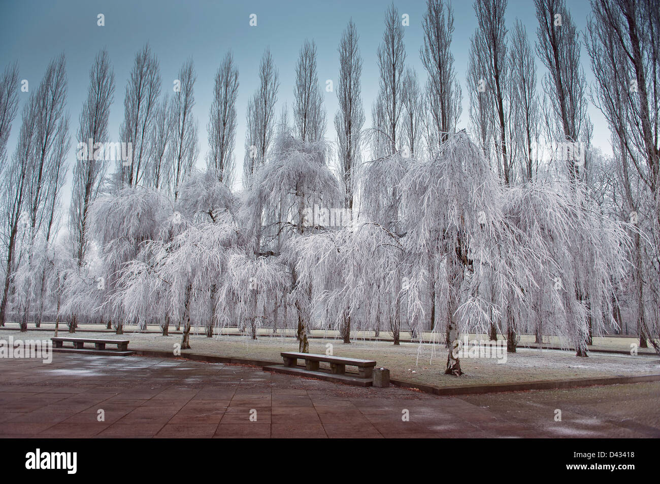 Berlin, Germany, winter landscape in Tretower Park Stock Photo - Alamy