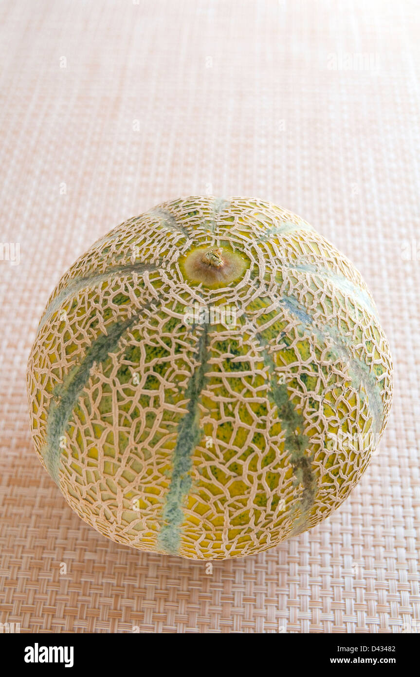 Melon. Stock Photo