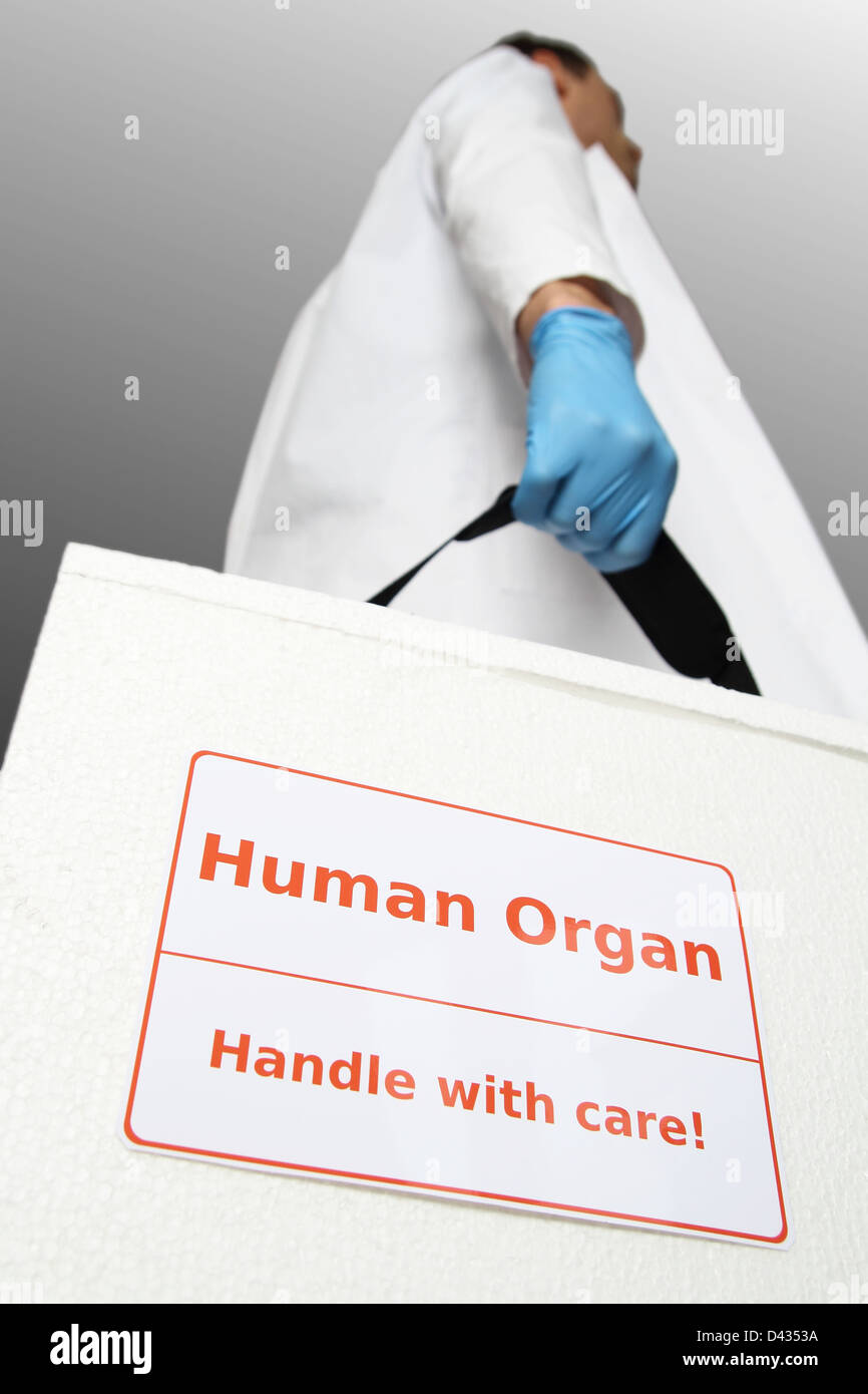 Doctor with box for organ Transplantation Stock Photo