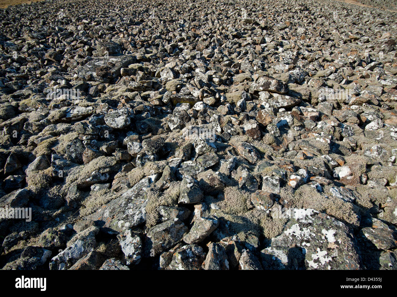 Boulder scree landslide on a Scottish mountain side. SCO 8977 Stock