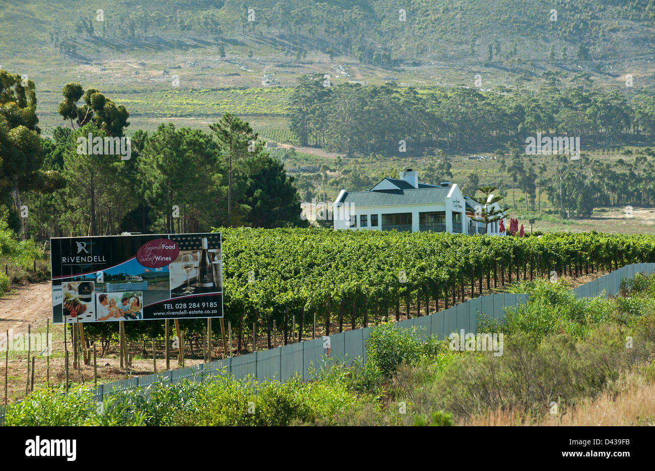 Rivendell Winery & restaurant on the R43 near Hermanus Western Cape