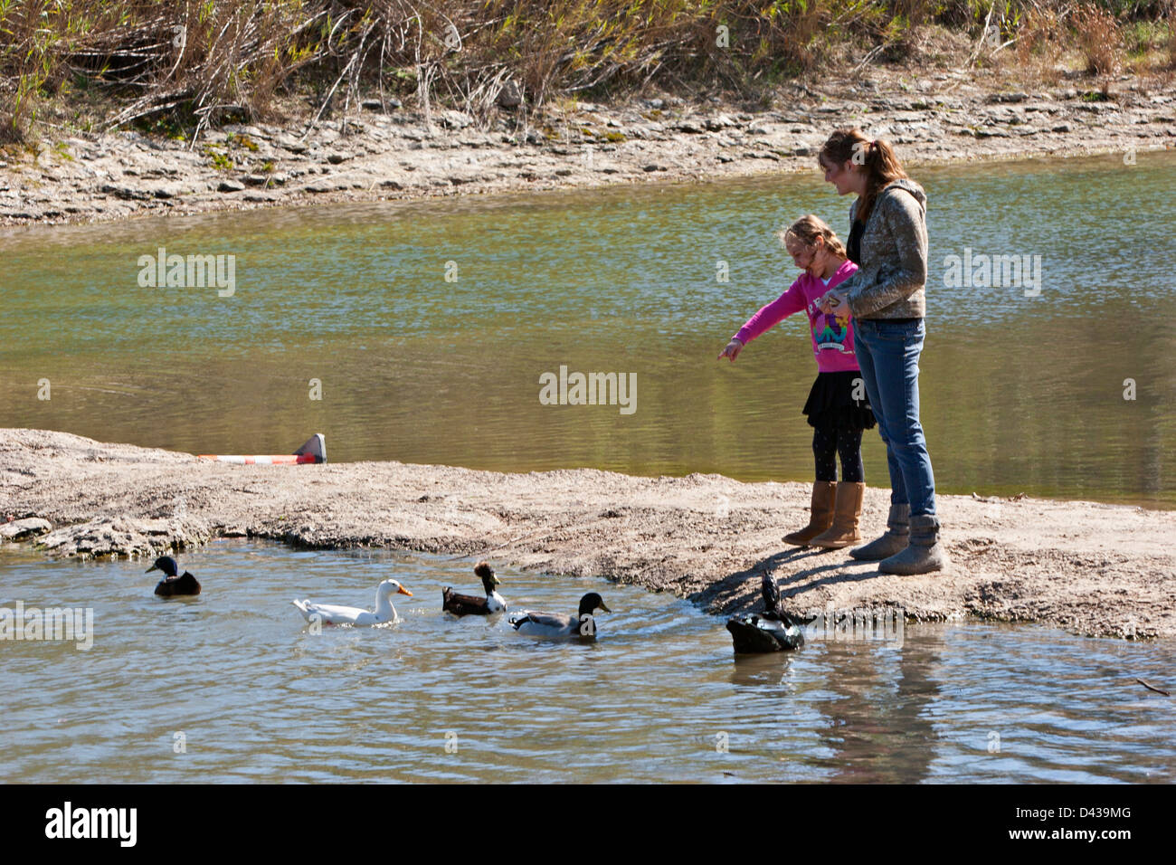 Mother and daughter feeding ducks from sandbar in small river Stock Photo