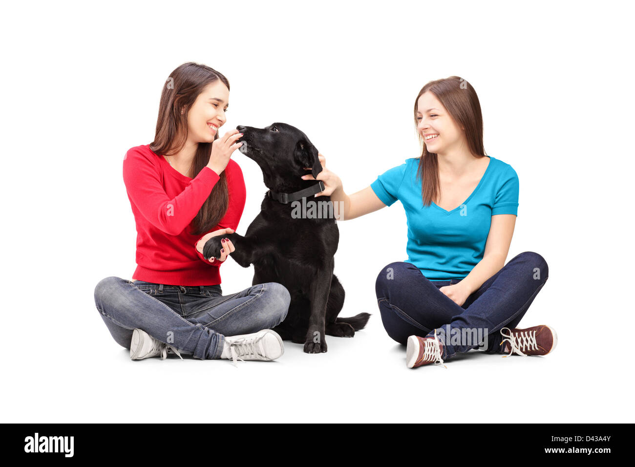 Two female friends sitting and playing with a dog isolated on white background Stock Photo