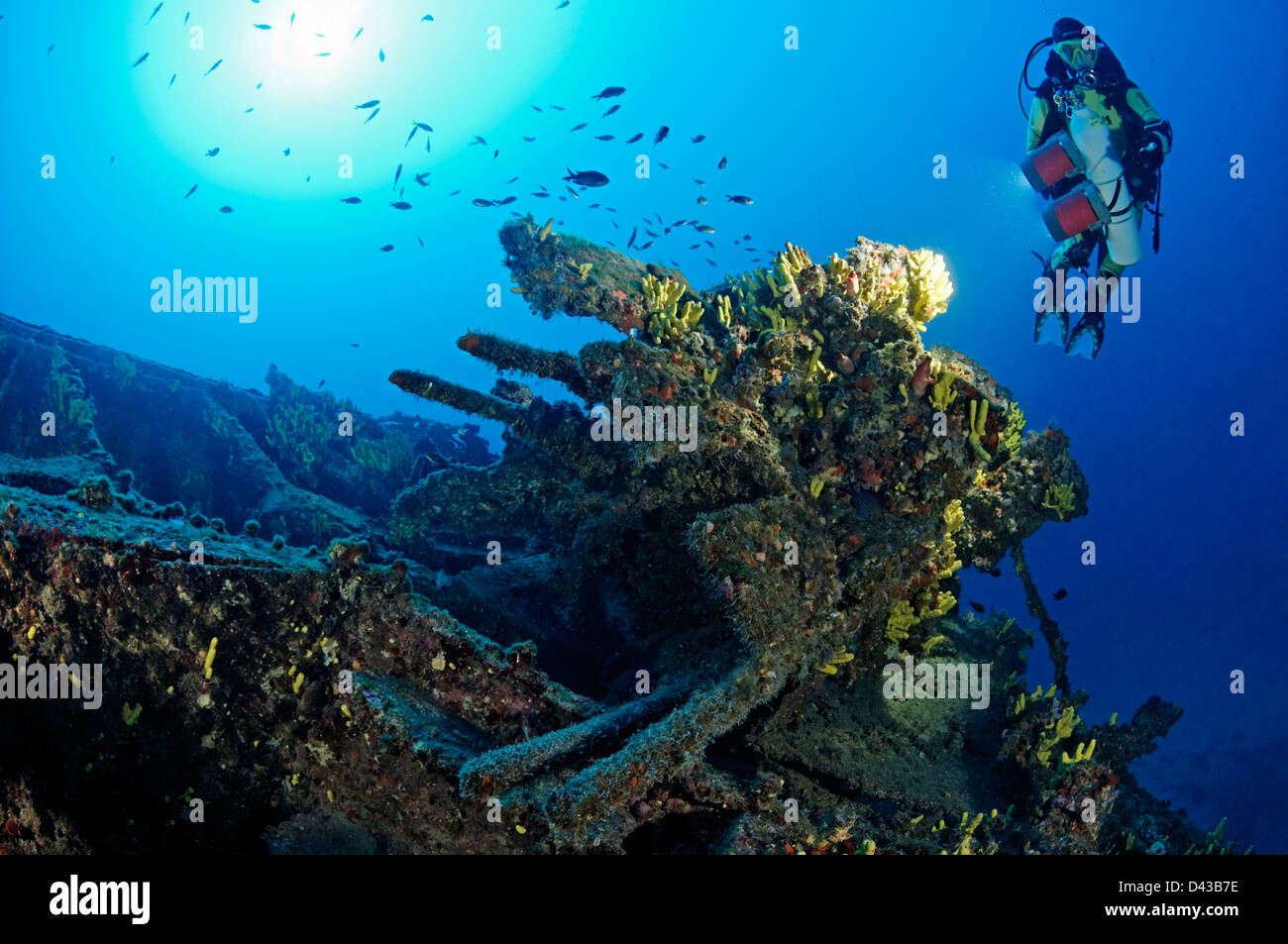 shipwreck Francesca di Rimini and scuba diver and anti-aircraftgun, Island Kaprije, Sibenik, Vodice, Croatia,  Mediterranean Sea Stock Photo