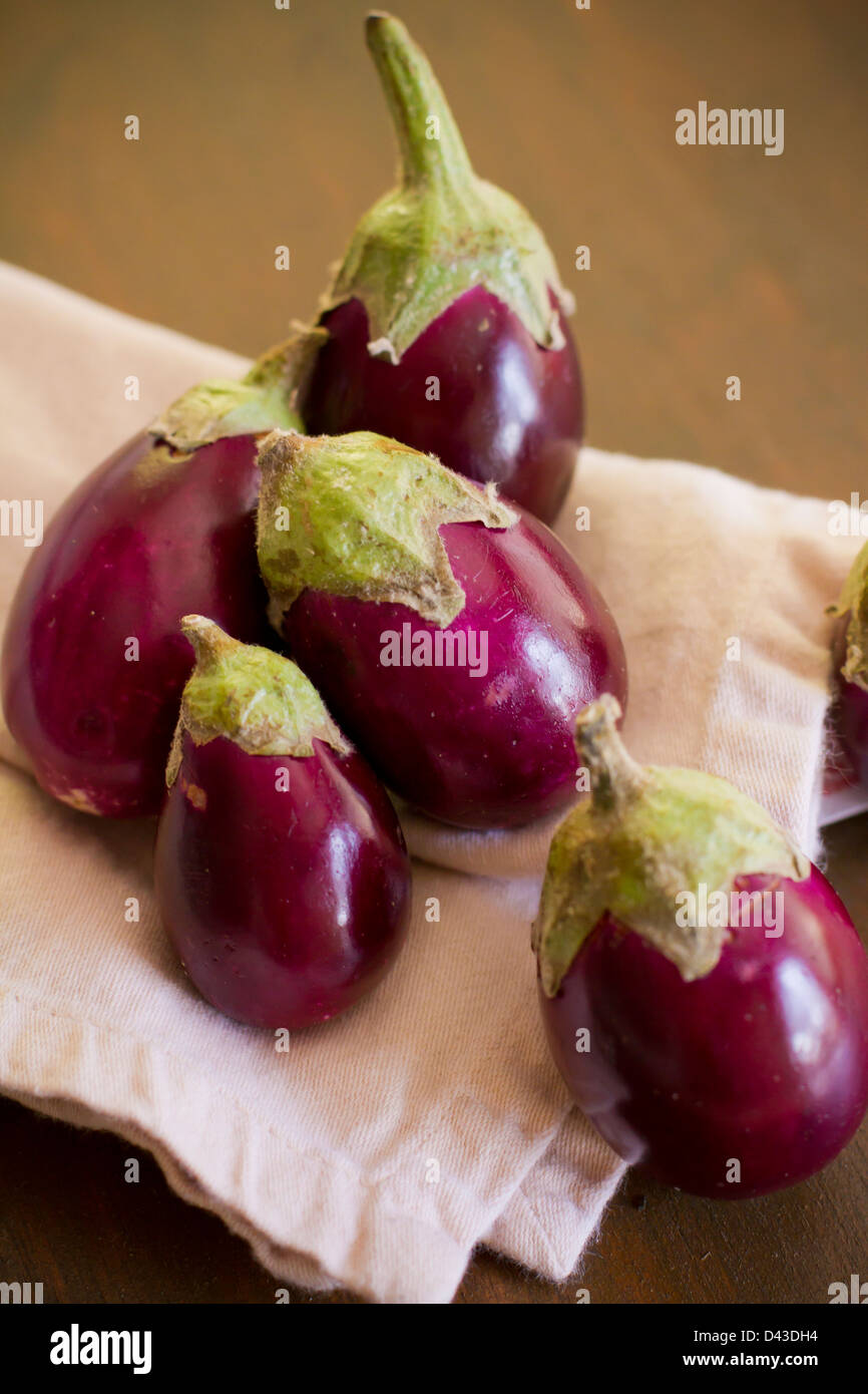 Several Indian Eggplants. Stock Photo