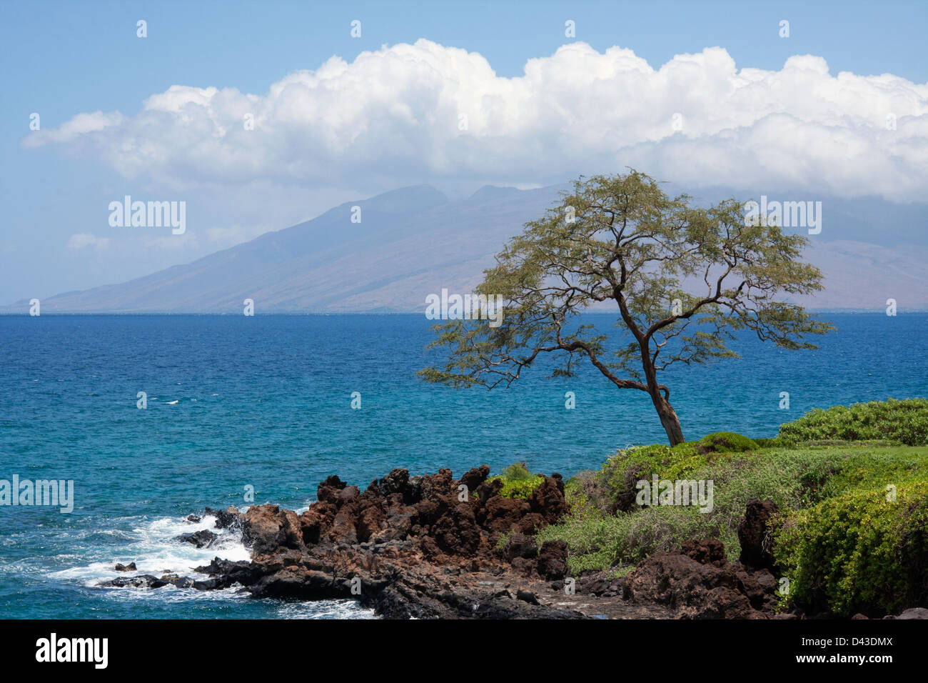 Lava rock formation and Ocean view in Maui, Hawaii Stock Photo