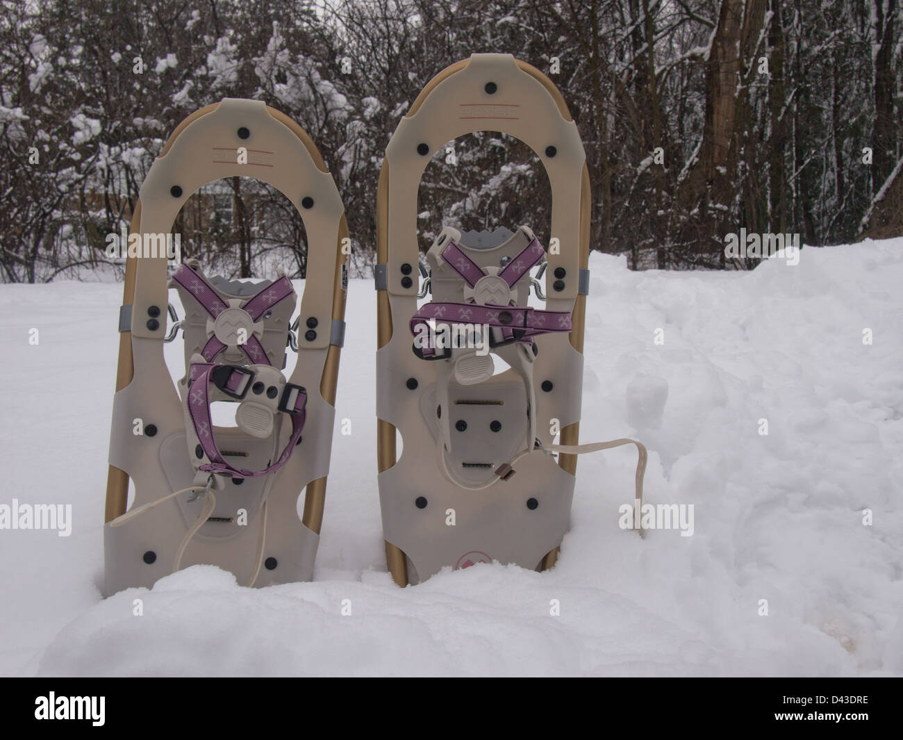 Snow shoes canada hires stock photography and images Alamy