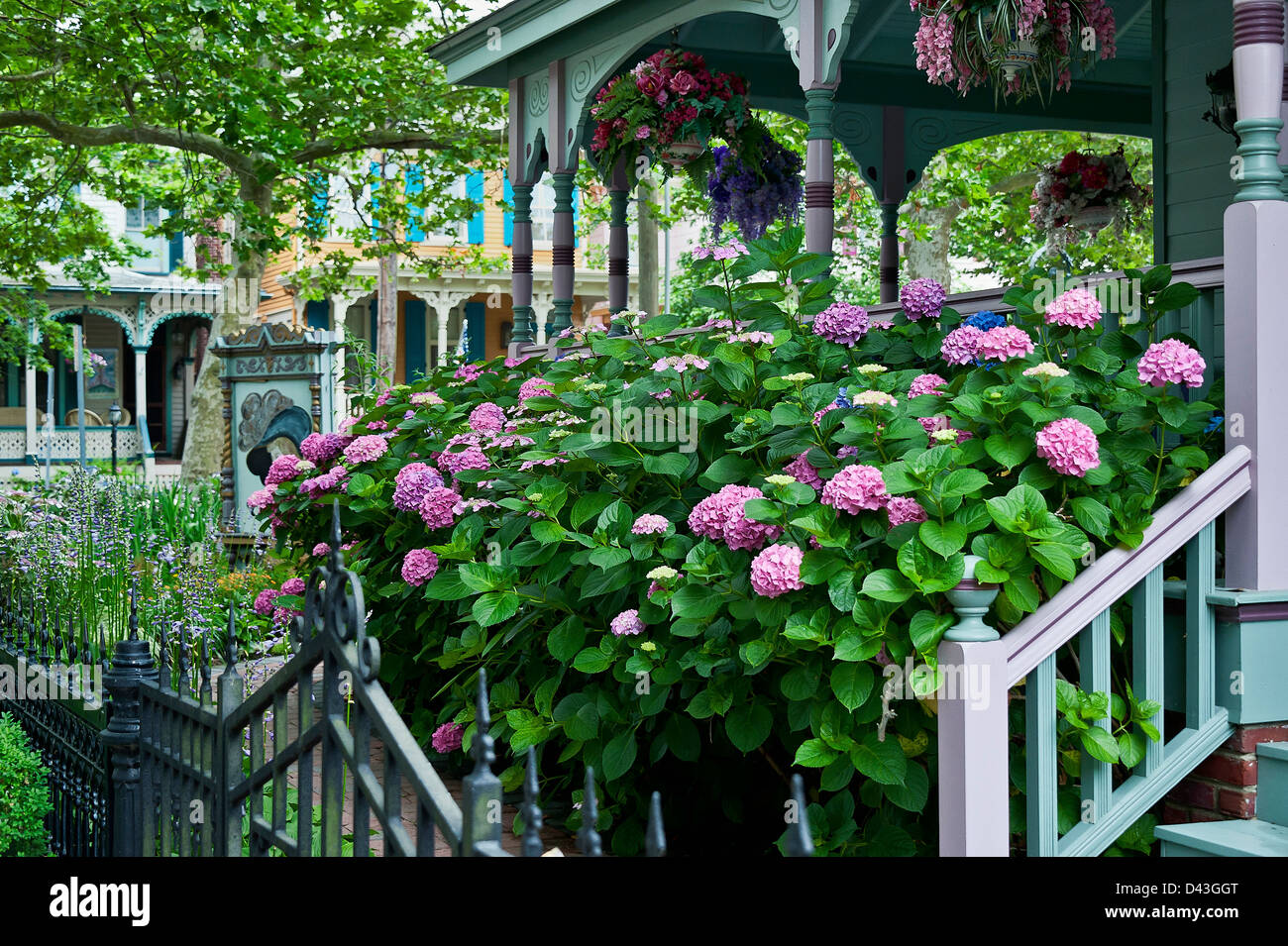 May gardens hires stock photography and images Alamy