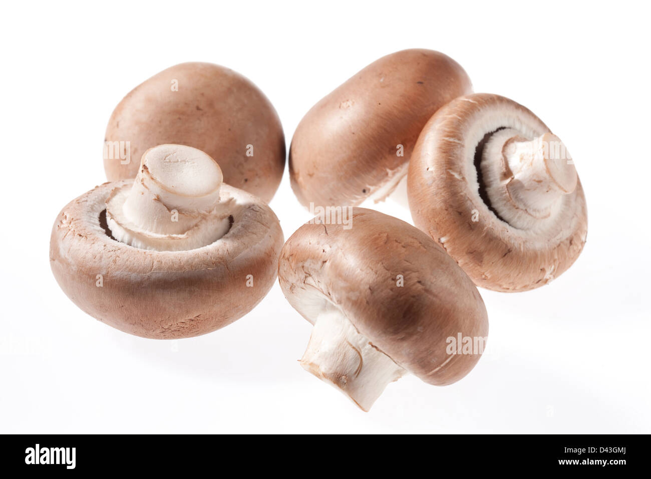 Berlin, Germany, fresh mushrooms Stock Photo